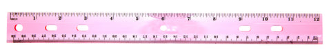 Plastic 12 Inch Ruler