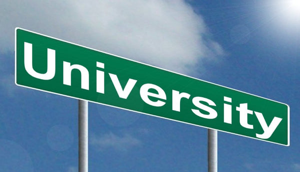 6 Factors to Consider When Choosing Your Future College