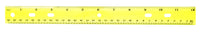 Plastic 12 Inch Ruler